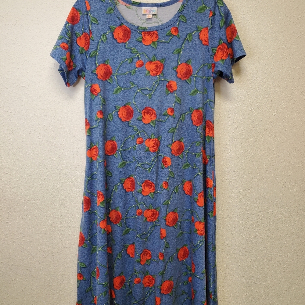 Lularoe Jessie Dress
